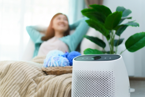 9 Reasons Why Everyone Needs an Air Purifier