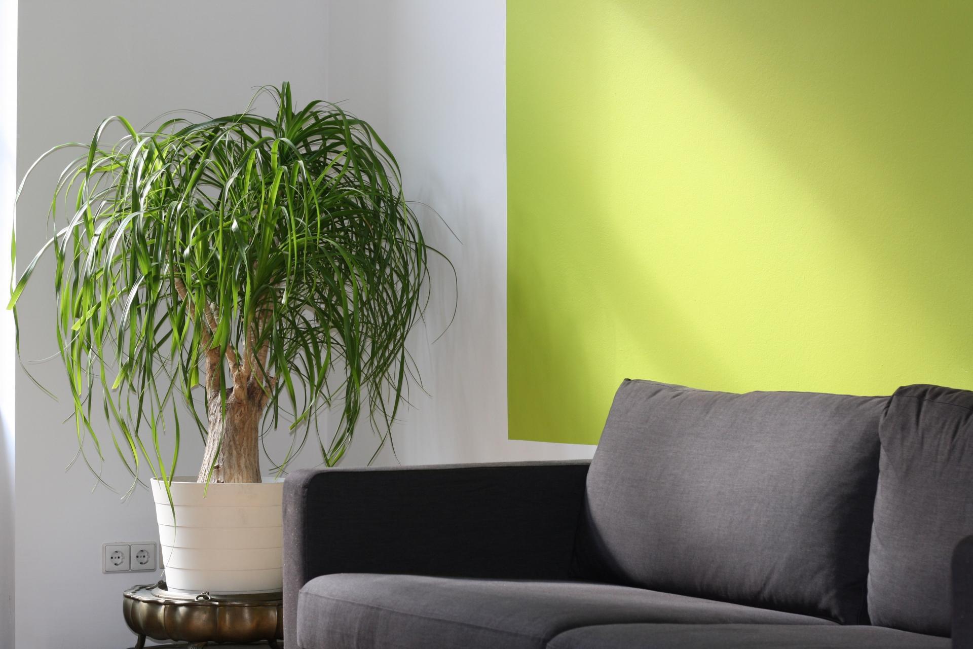 How to improve indoor air quality