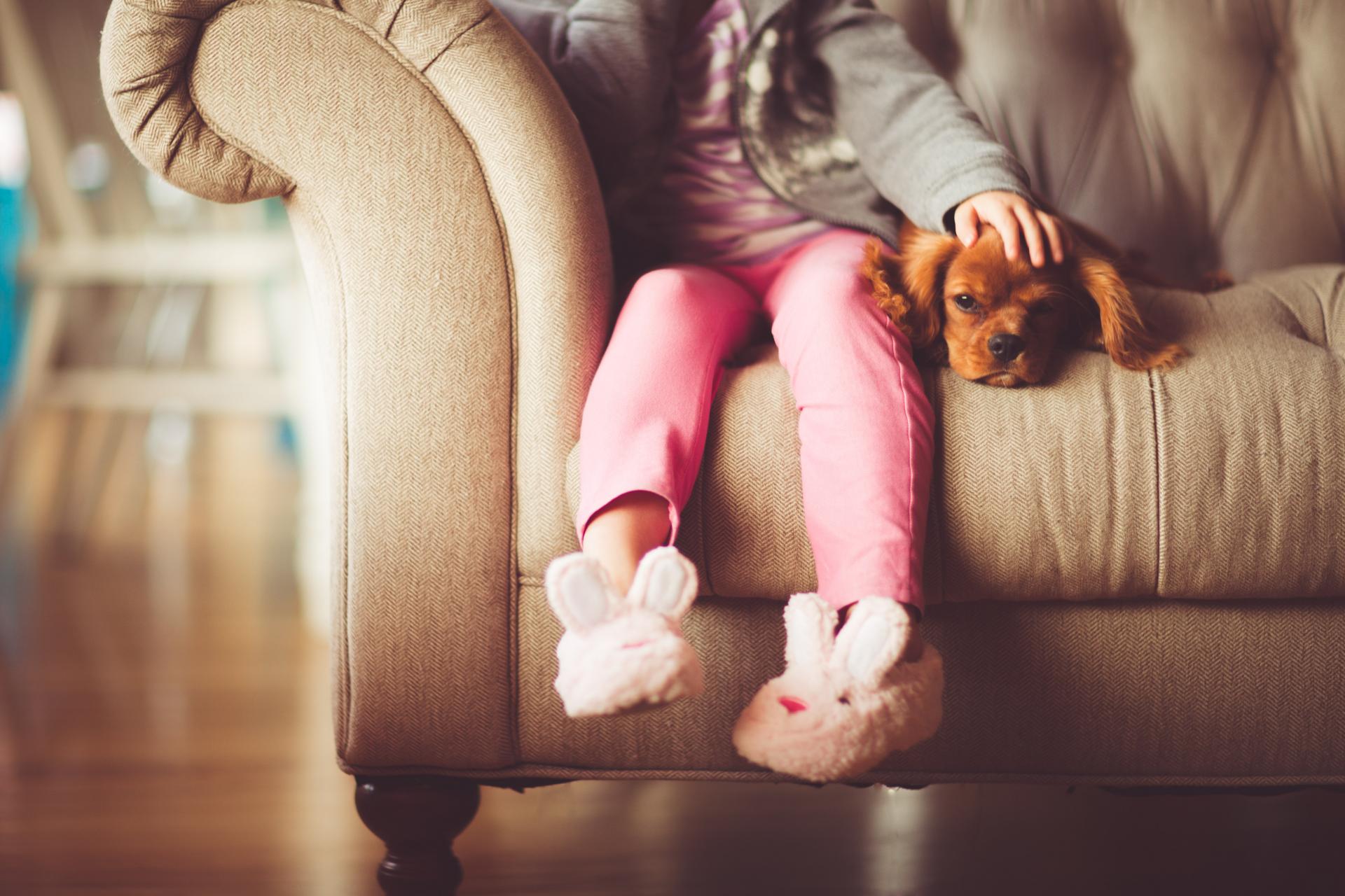 HVAC maintenance tips for pet owners