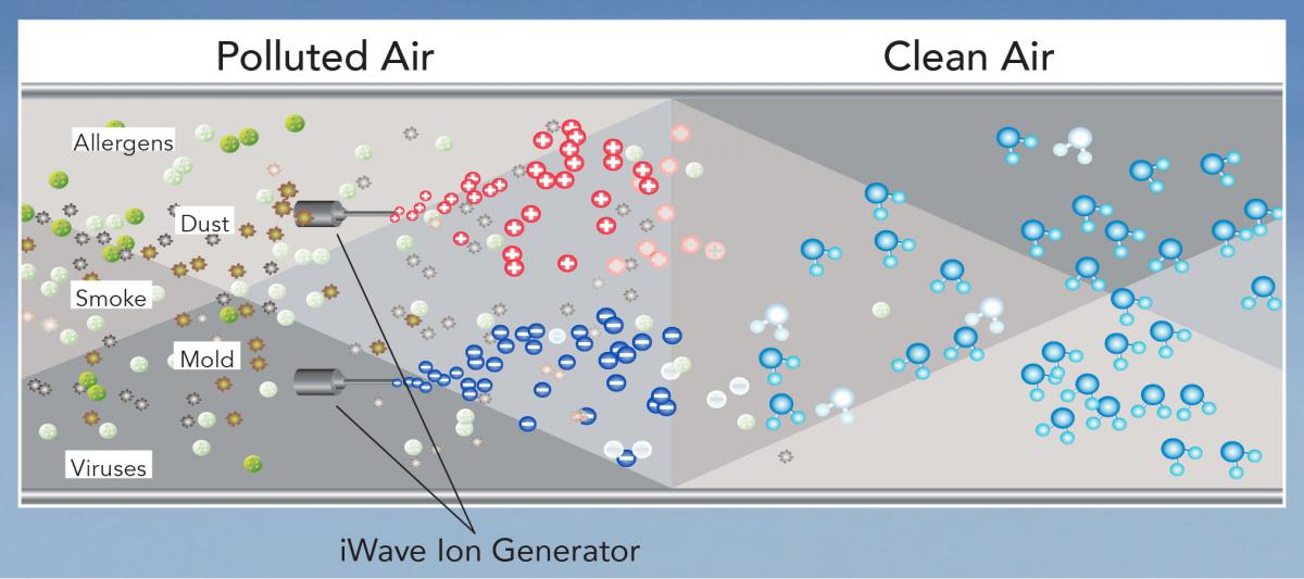 how iWave works