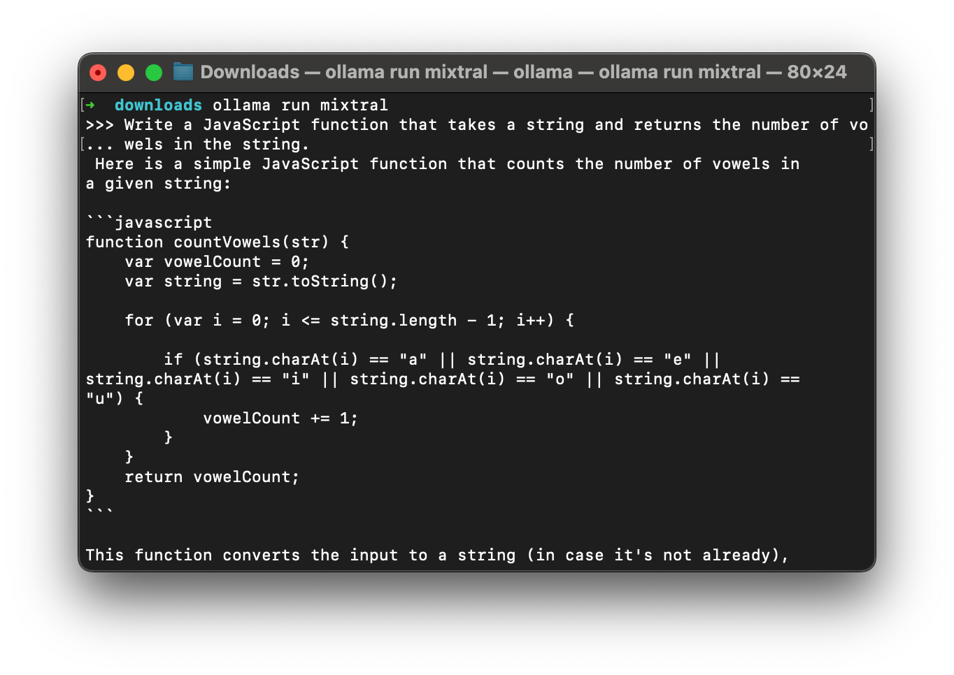 Ollama terminal output