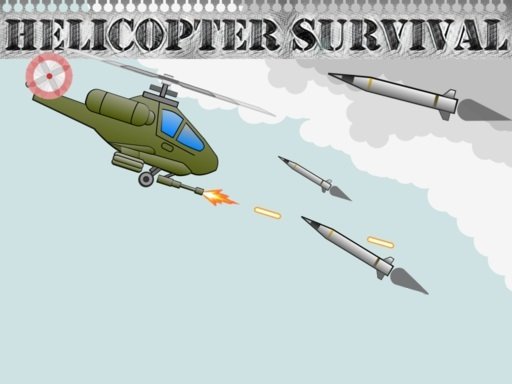 Helicopter Survivor Profile Picture