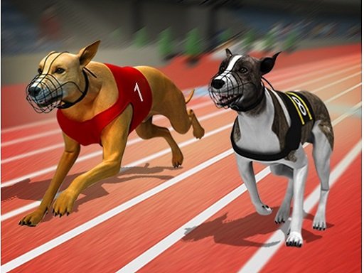 Racing Dog Simulator : Crazy Dog Racing Games Profile Picture