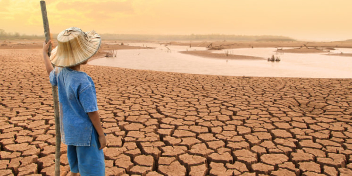 El cambio climático amenaza la región del NEA en Sudamérica