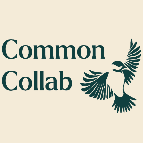 Common Collab