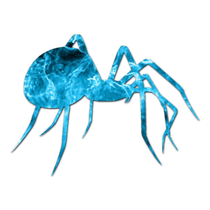 Spider Black Widow – Vinyl Decal Sticker – Multiple Patterns & Sizes – ebn1011