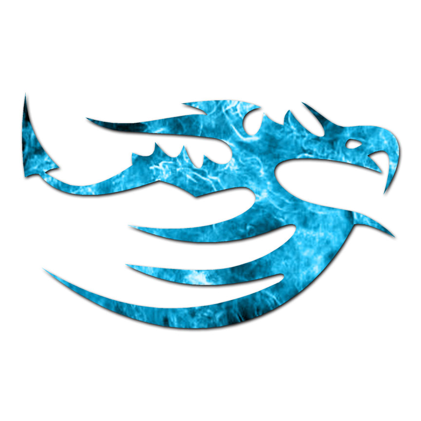 Flying Snake Dragon – Vinyl Decal Sticker – Multiple Patterns & Sizes – ebn1090