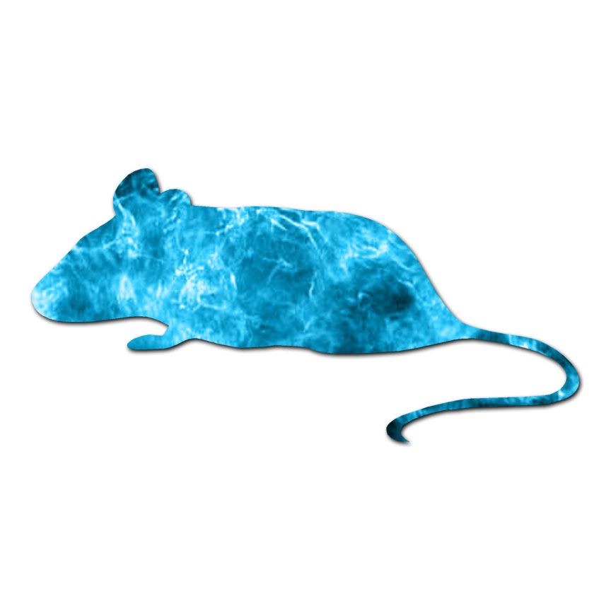 Mouse Rat Rodent – Vinyl Decal Sticker – Multiple Patterns & Sizes – ebn1363