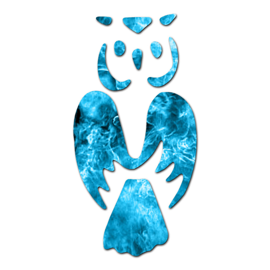 Snowy Barn Owl Art – Vinyl Decal Sticker – Multiple Patterns & Sizes – ebn1777