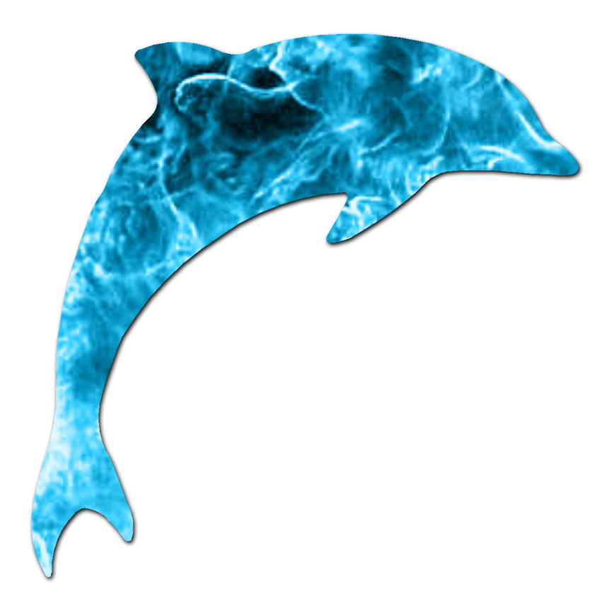 Dolphin Jumping – Vinyl Decal Sticker – Multiple Patterns & Sizes – ebn217