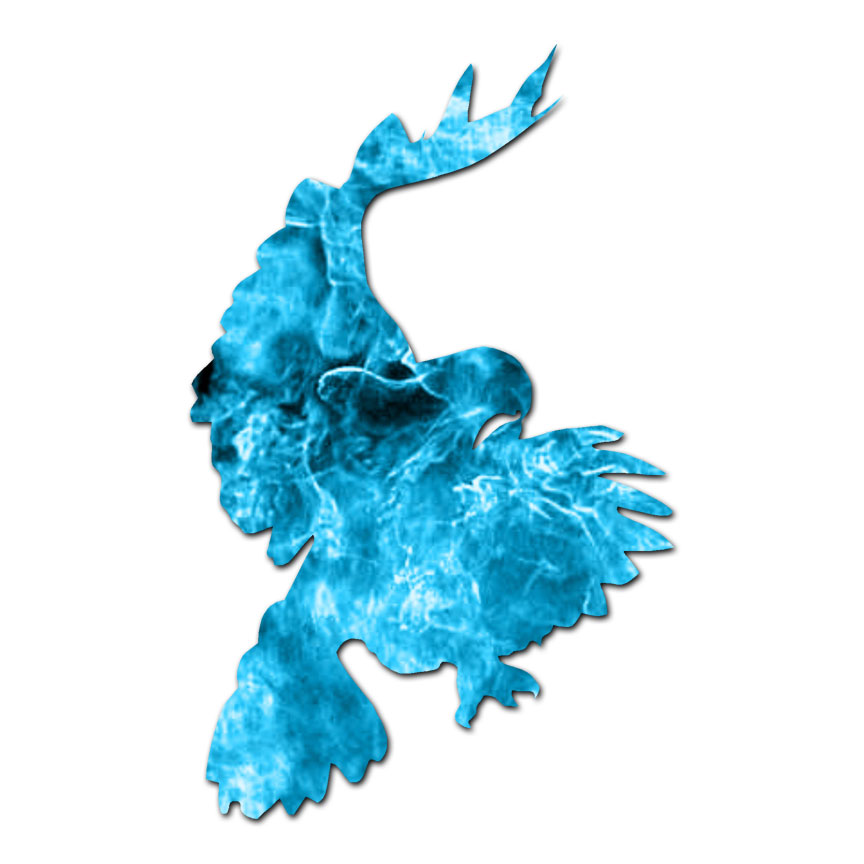 Hawk Pouncing Bird Falcon – Decal Sticker – Multiple Patterns & Sizes – ebn2386