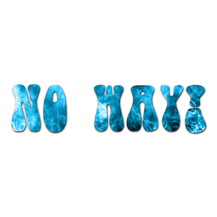 No Way ! – Vinyl Decal Sticker – Multiple Patterns & Sizes – ebn2731