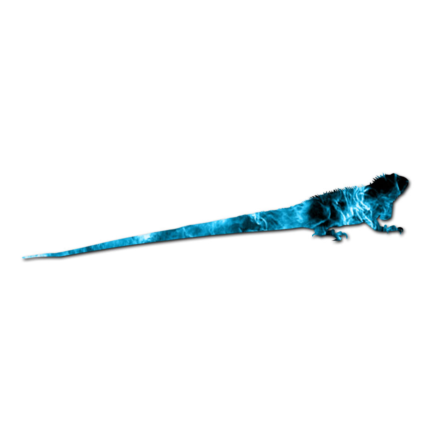Iguana Lizard Reptile – Vinyl Decal Sticker – Multiple Patterns & Size – ebn2855