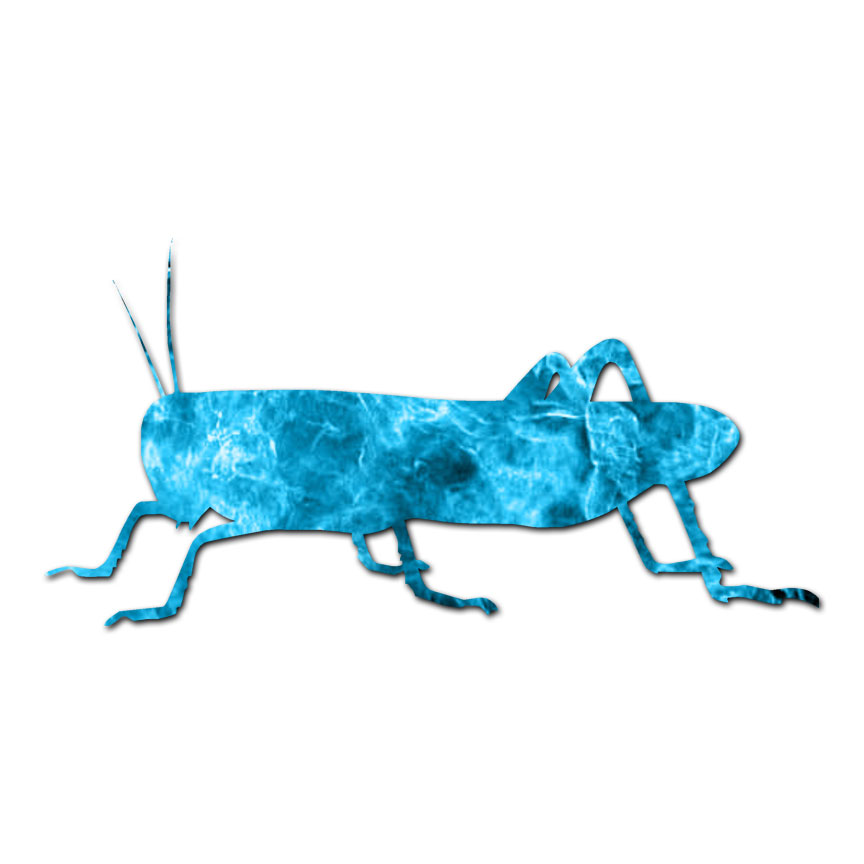 Grasshopper Cricket – Vinyl Decal Sticker – Multiple Patterns & Sizes – ebn2888