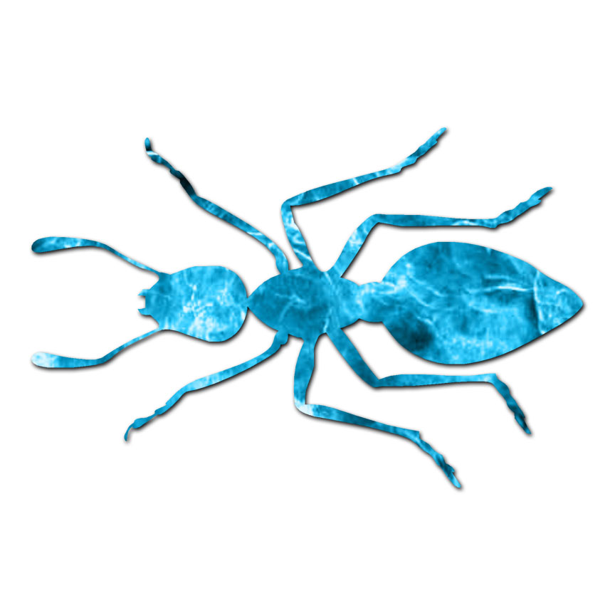 Ant Bug Pest Insect – Vinyl Decal Sticker – Multiple Patterns & Sizes – ebn2907