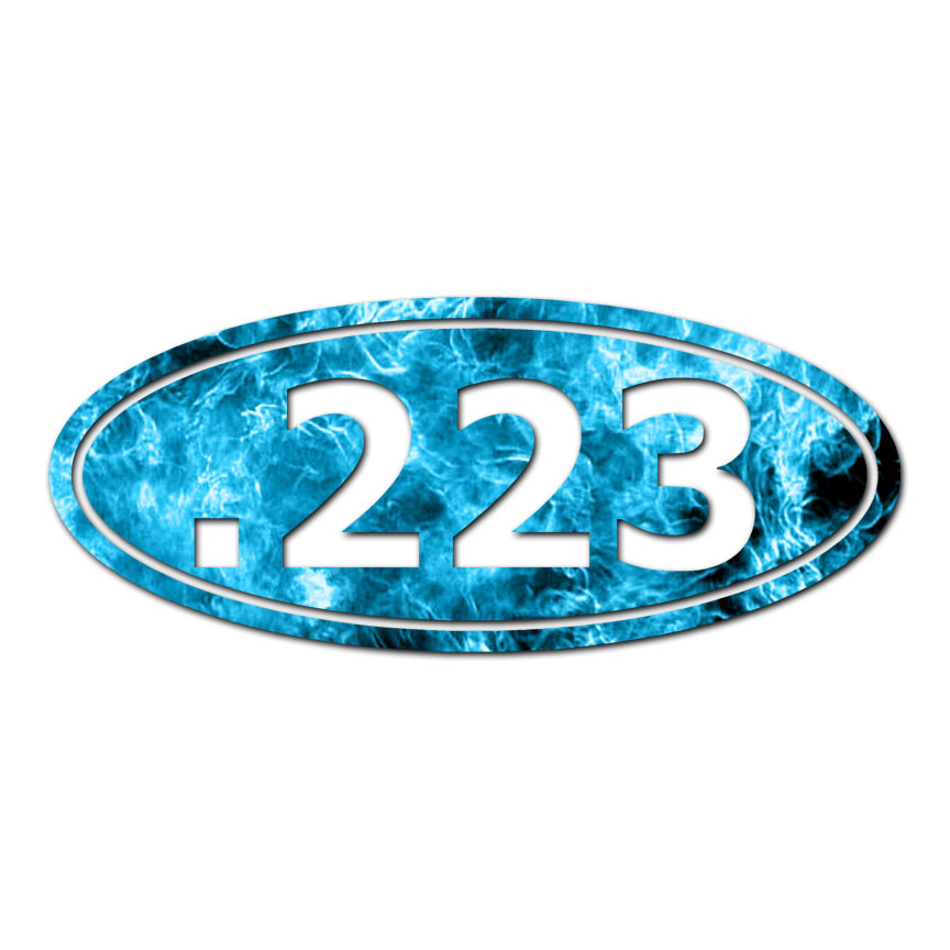 Ammo .223 – Vinyl Decal Sticker – Multiple Patterns & Sizes – ebn31