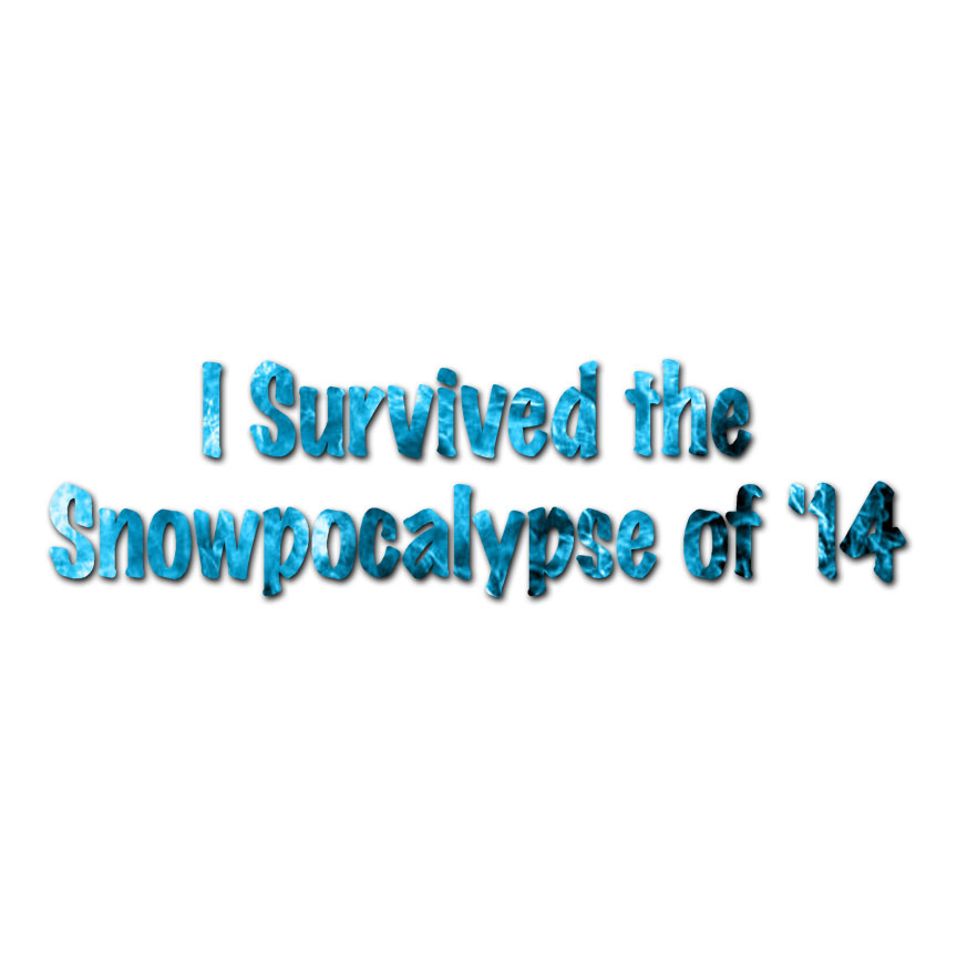 Survived Snow Apocalypse – Decal Sticker – Multiple Patterns & Sizes – ebn3195