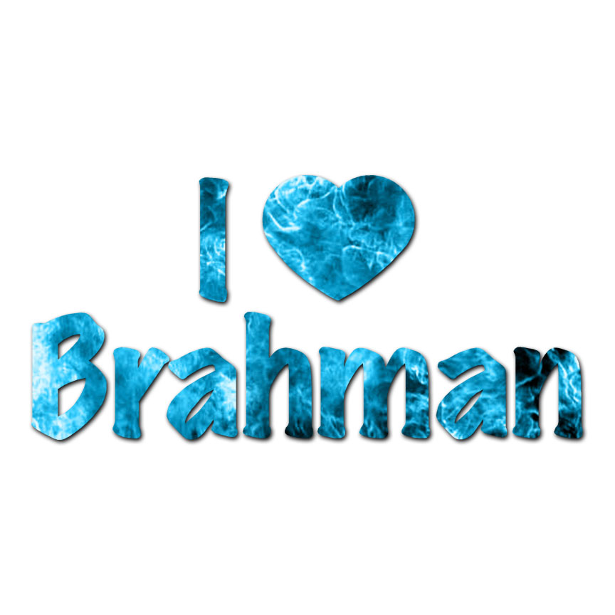 I Love Brahman Heart Hindu - Decal Sticker - Multiple Patterns & Sizes ...