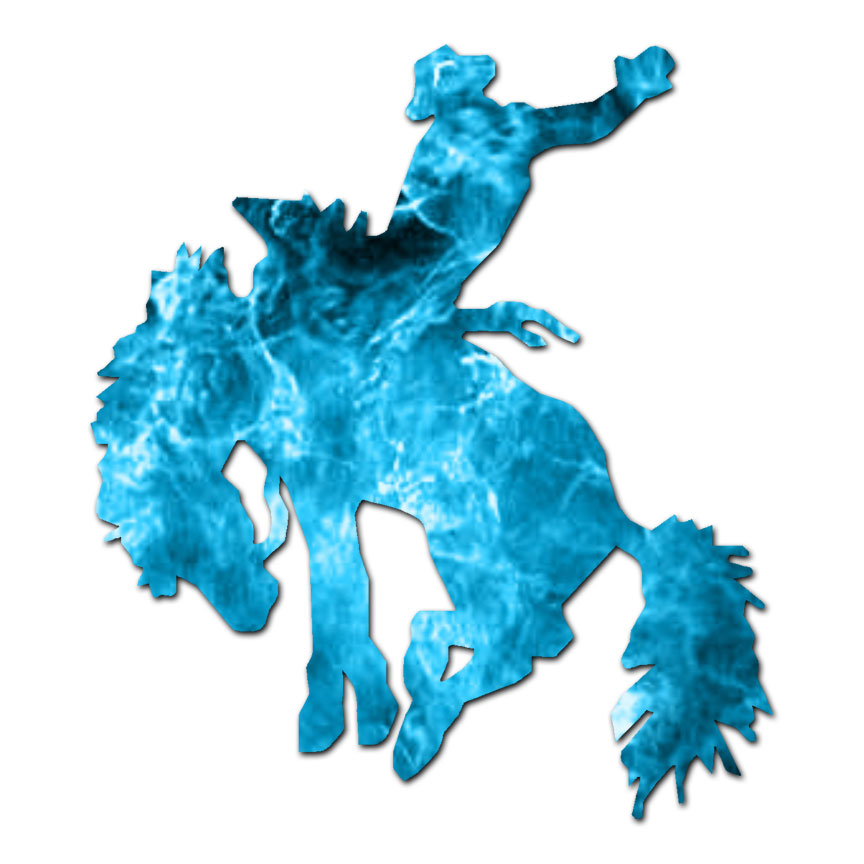 Horse Rodeo Mustang – Vinyl Decal Sticker – Multiple Patterns & Sizes – ebn378