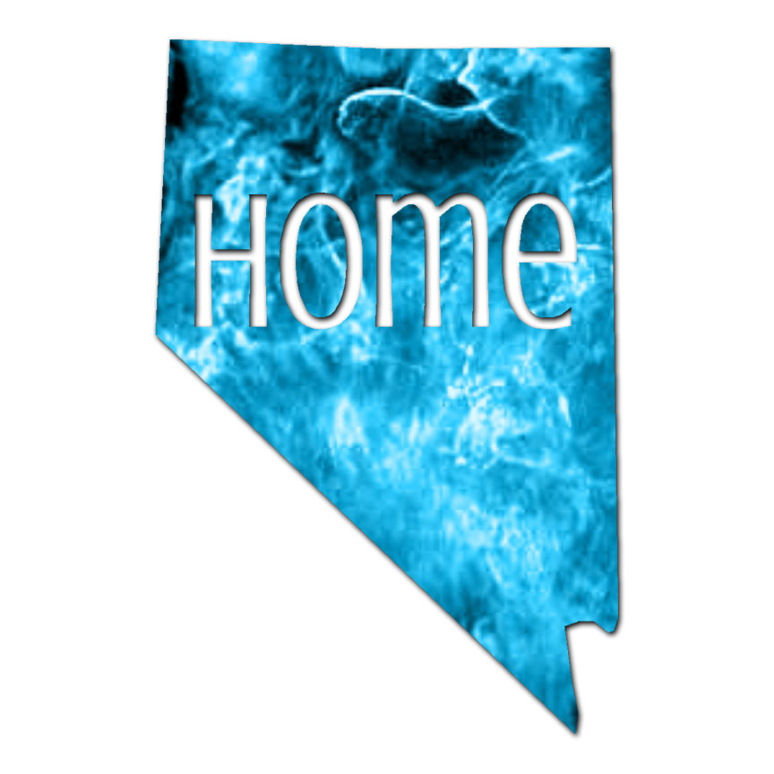 Nevada Home State – Vinyl Decal Sticker – Multiple Patterns & Sizes – ebn3830