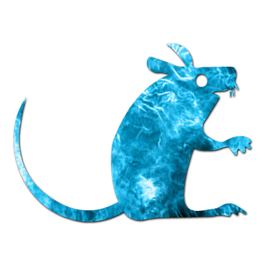 Mouse Rat Cute – Vinyl Decal Sticker – Multiple Patterns & Sizes – ebn469