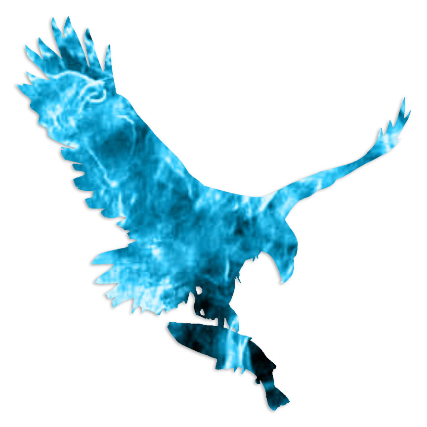 Eagle Fish – Vinyl Decal Sticker – Multiple Patterns & Sizes – ebn6041