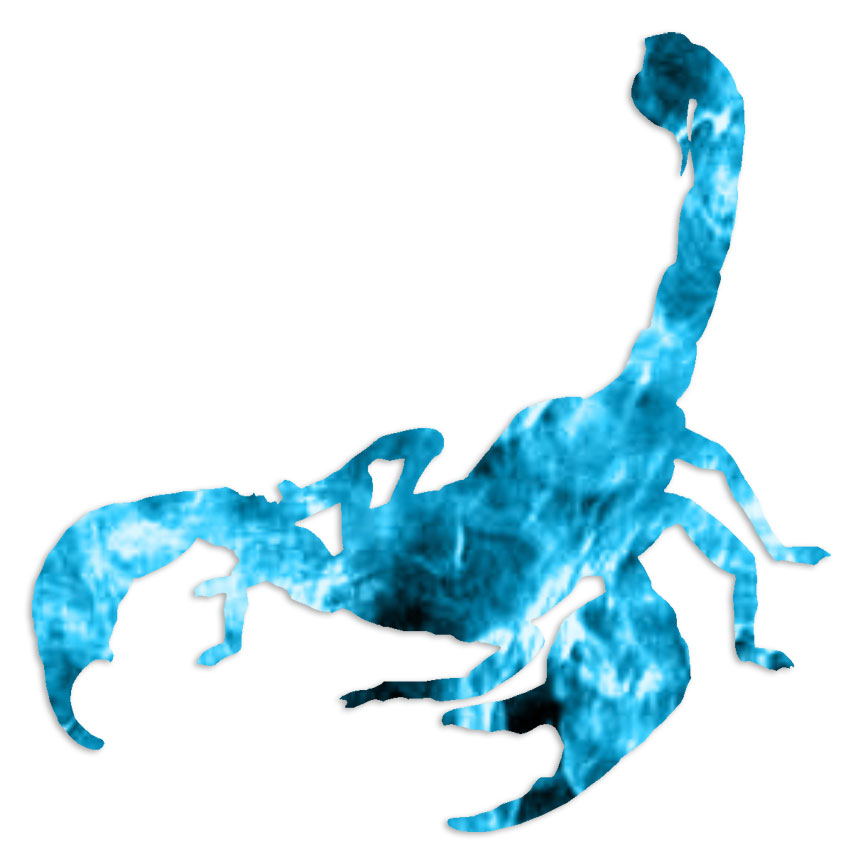 Scorpion – Vinyl Decal Sticker – Multiple Patterns & Sizes – ebn6068