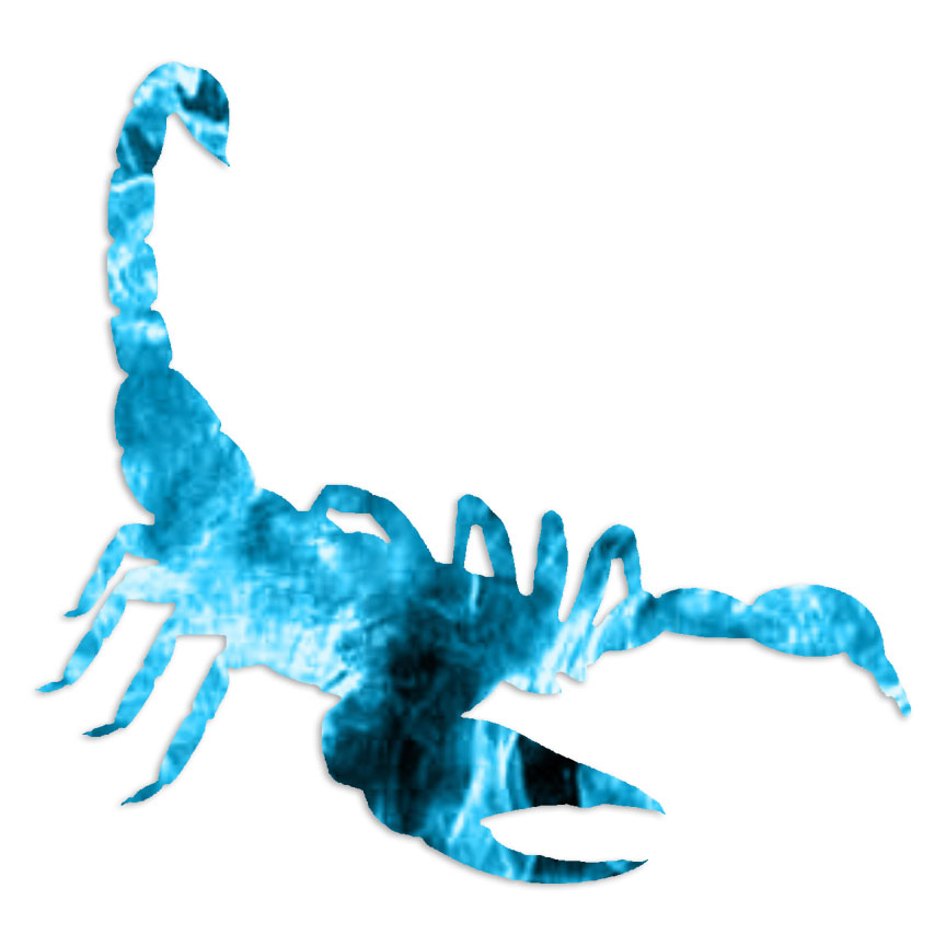 Scorpion – Vinyl Decal Sticker – Multiple Patterns & Sizes – ebn6104