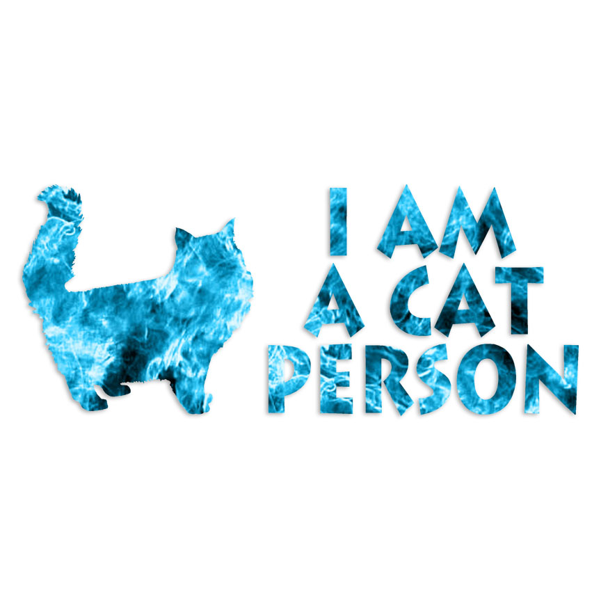 I Am A Cat Person – Vinyl Decal Sticker – Multiple Patterns & Sizes – ebn6121