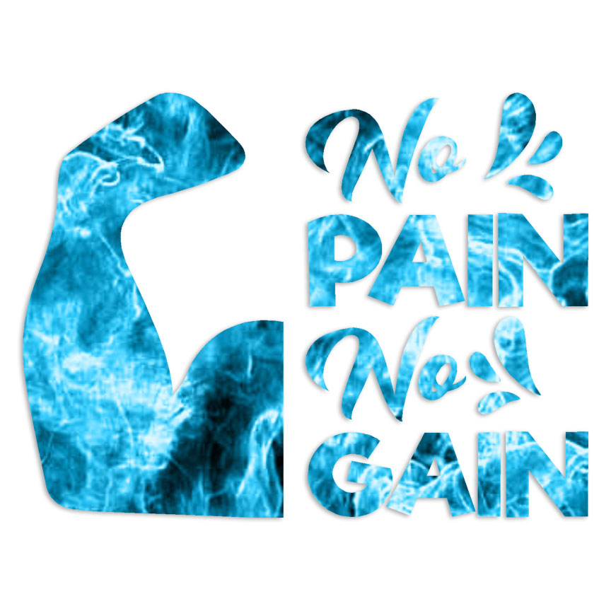 No Pain No Gain – Vinyl Decal Sticker – Multiple Patterns & Sizes – ebn6280