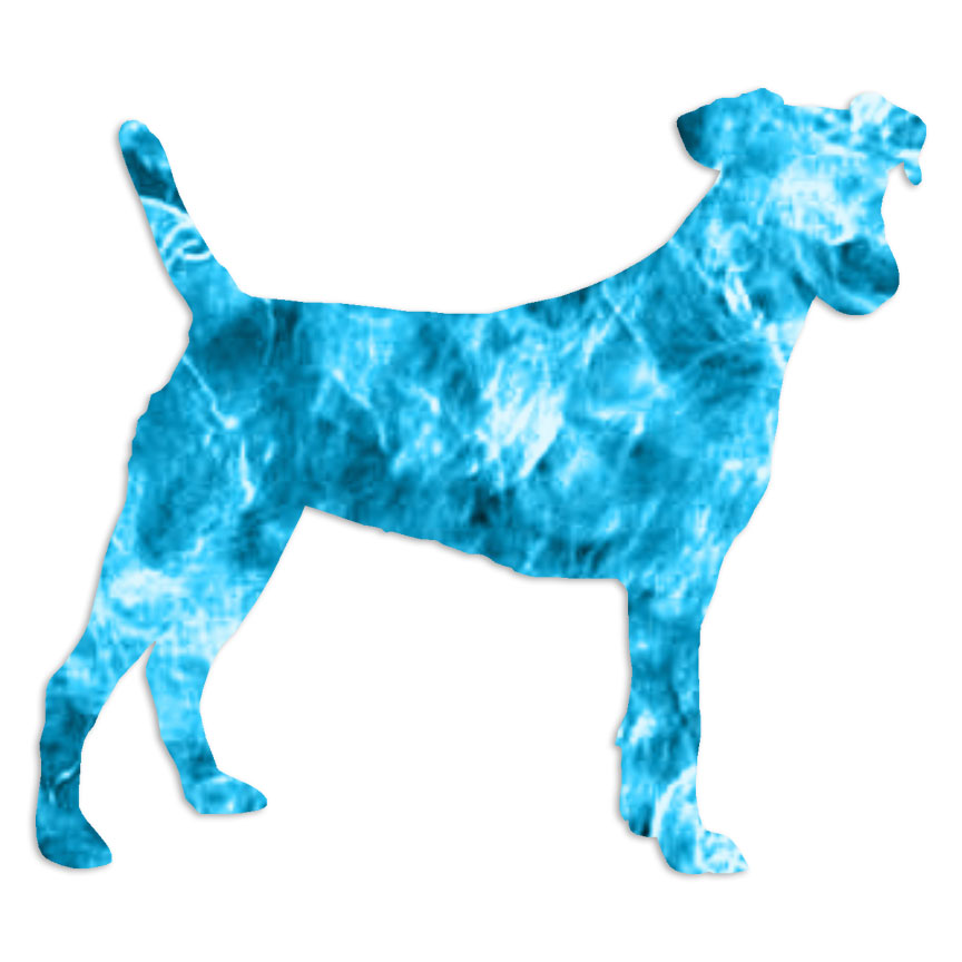 Smooth Fox Terrier – Decal Sticker – Multiple Patterns & Sizes – ebn6568