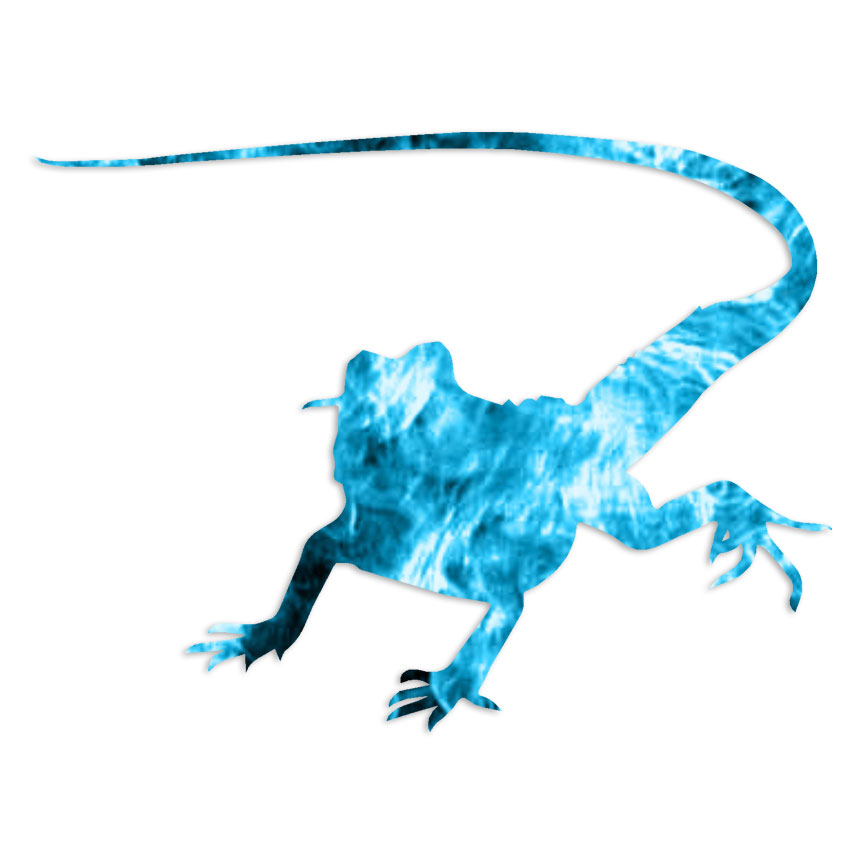Lizard Iguana Reptile – Decal Sticker – Multiple Patterns & Sizes – ebn6803