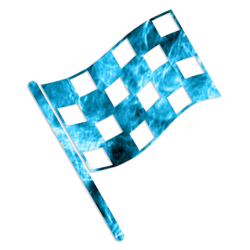 Checkered Flag Winner – Decal Sticker – Multiple Patterns & Sizes – ebn6938