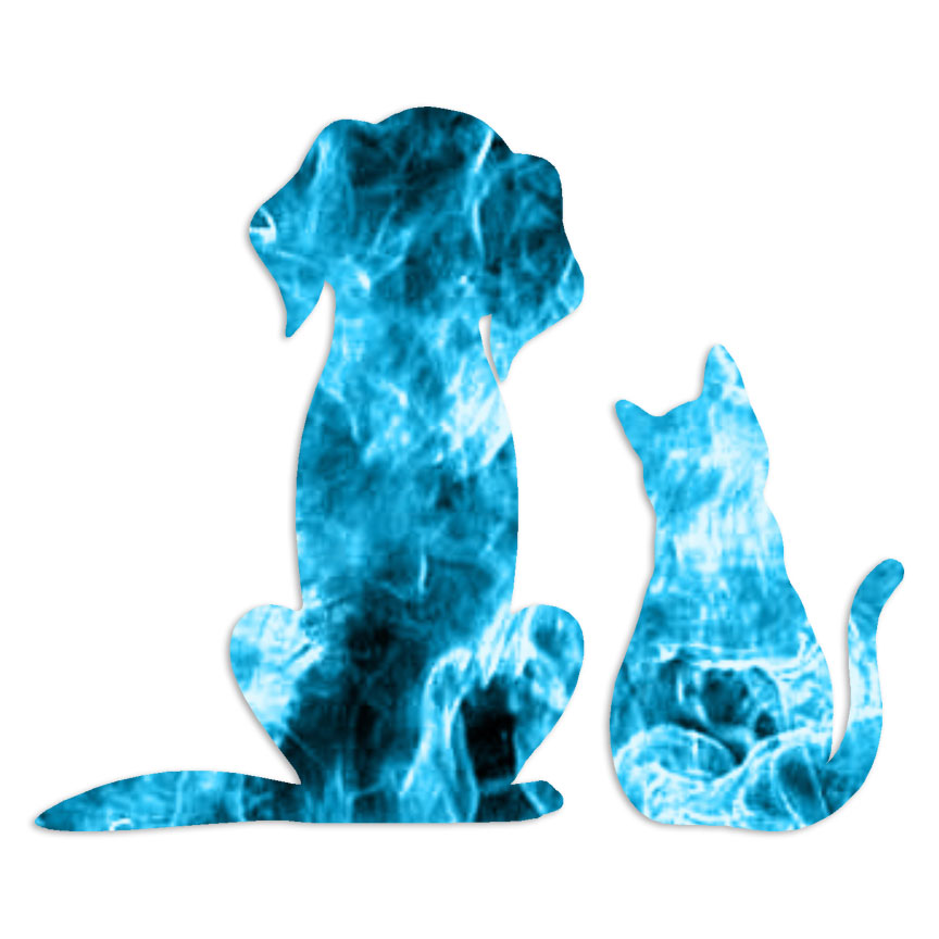 Dog and Cat – Decal Sticker – Multiple Patterns & Sizes – ebn6976