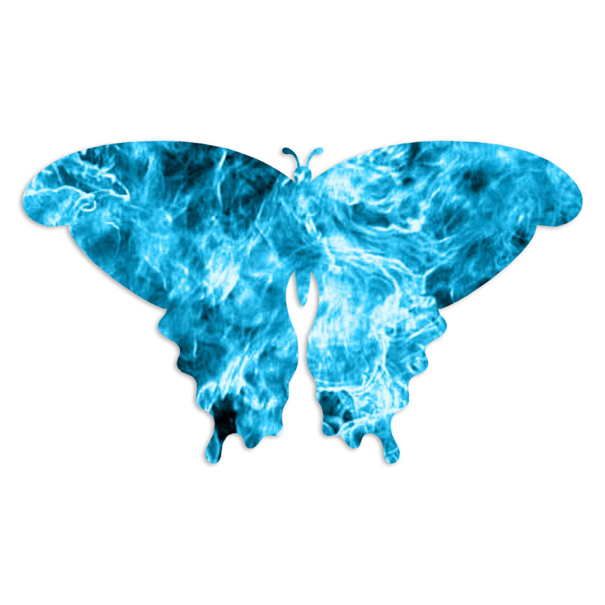 Butterfly Moth – Decal Sticker – Multiple Patterns & Sizes – ebn7038