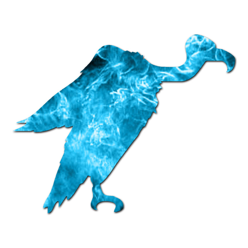 Vulture Condor Scavenger – Decal Sticker – Multiple Patterns & Sizes – ebn726