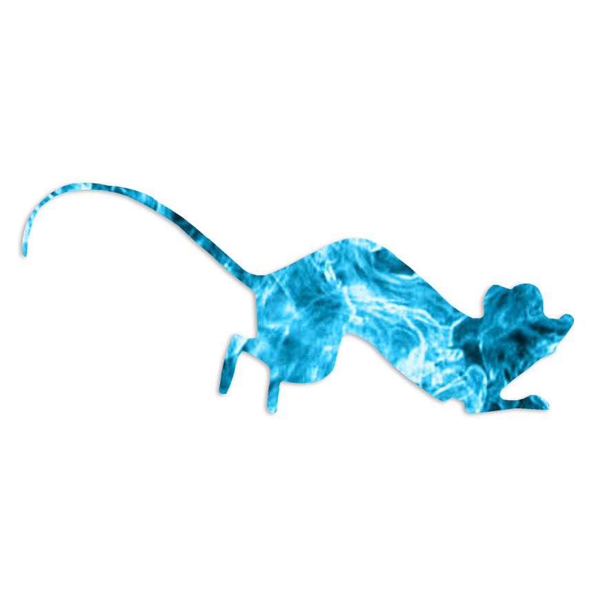 Rat Mouse – Decal Sticker – Multiple Patterns & Sizes – ebn7519