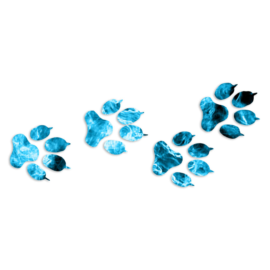 Wolf Coyote Tracks Prints – Decal Sticker – Multiple Patterns & Sizes – ebn7556