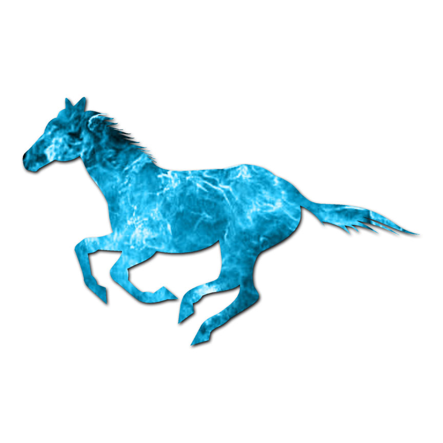 Horse Running – Vinyl Decal Sticker – Multiple Patterns & Sizes – ebn899
