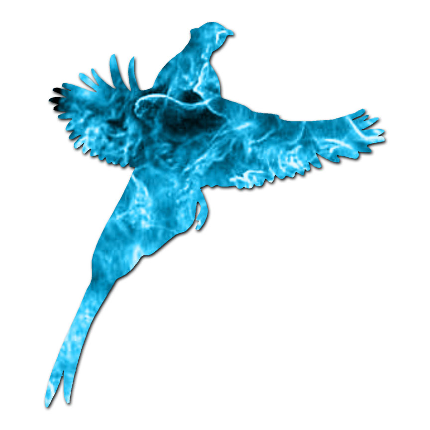 Pheasant Quail – Vinyl Decal Sticker – Multiple Patterns & Sizes – ebn950