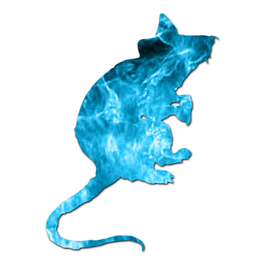 Rat Mouse Rodent – Vinyl Decal Sticker – Multiple Patterns & Sizes – ebn966