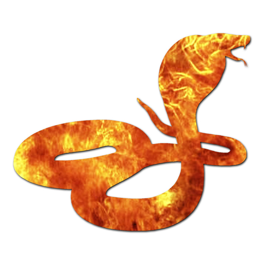 Adesivo EZSTIK "Snake Lives Matter" Per Auto - Decalcomania Cobra 6 Pollici (k185)