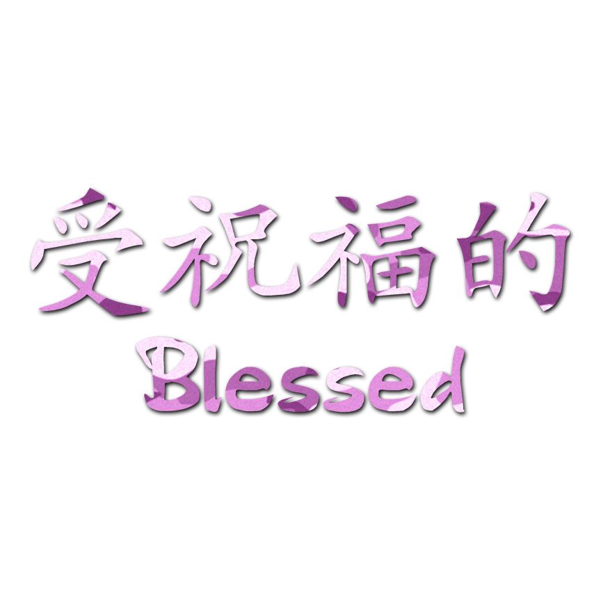 Decal Sticker Multiple Colors & Sizes Blessed Chinese Symbols ebn2581