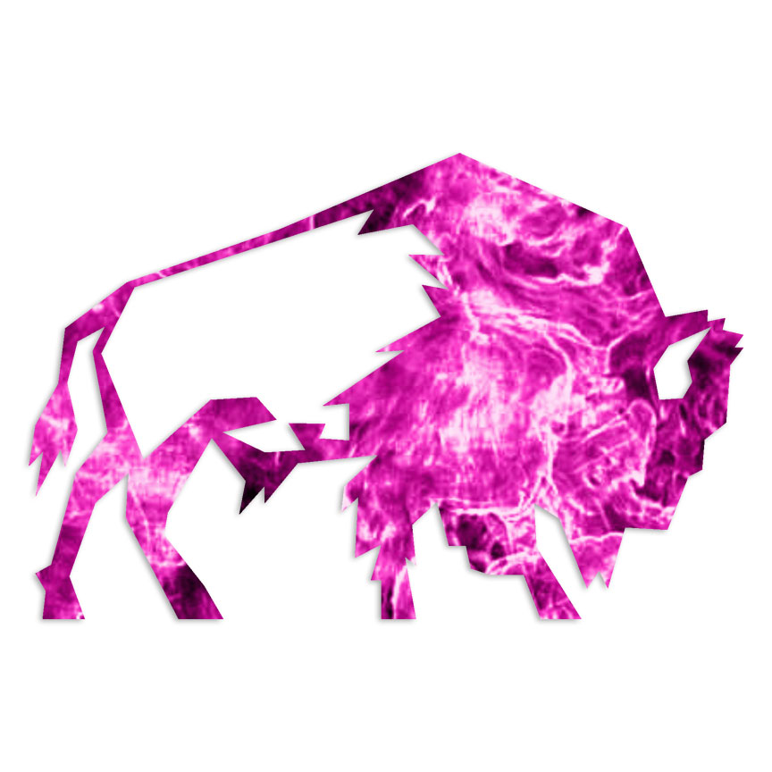 Bison Buffalo - Decal Sticker - Multiple Patterns & Sizes - ebn6898 | eBay