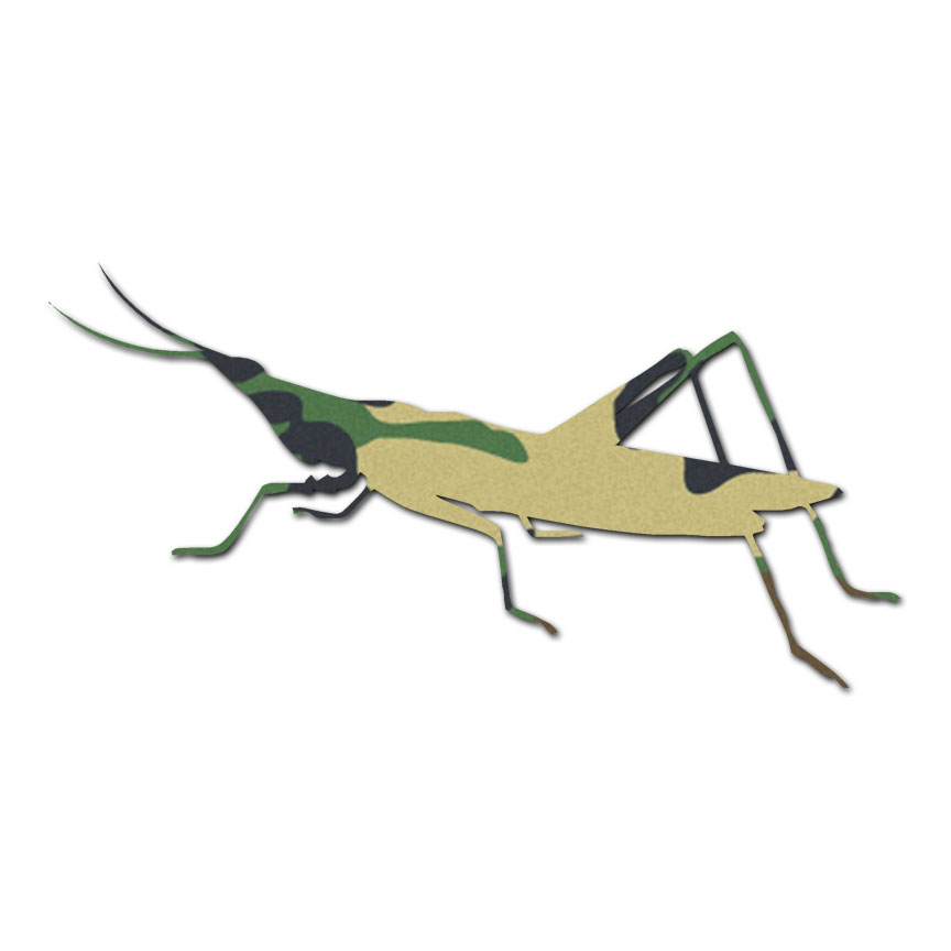 Multiple Patterns & Sizes Cricket Grasshopper Vinyl Decal Sticker ebn2896