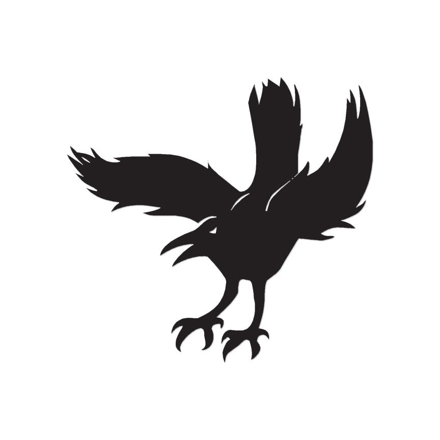 Angry Crow Raven Bird – Decal Sticker – Multiple Color & Sizes – ebn1304