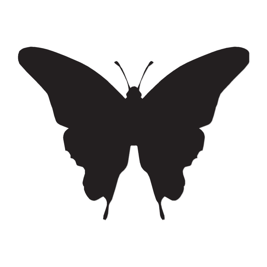 Butterfly Moth – Vinyl Decal Sticker – Multiple Color & Sizes – ebn136
