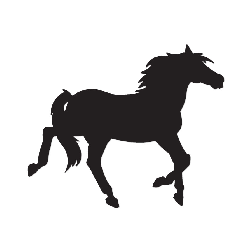 Pony Colt Horse – Vinyl Decal Sticker – Multiple Color & Sizes – ebn1371