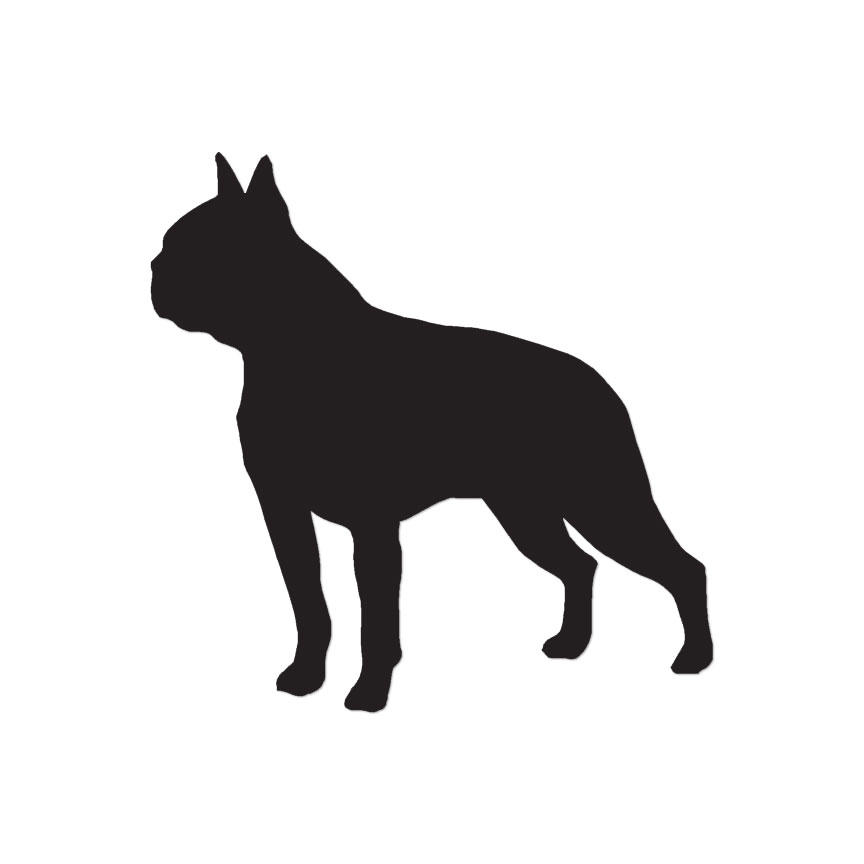 Boston Terrier Dog – Vinyl Decal Sticker – Multiple Color & Sizes – ebn1926