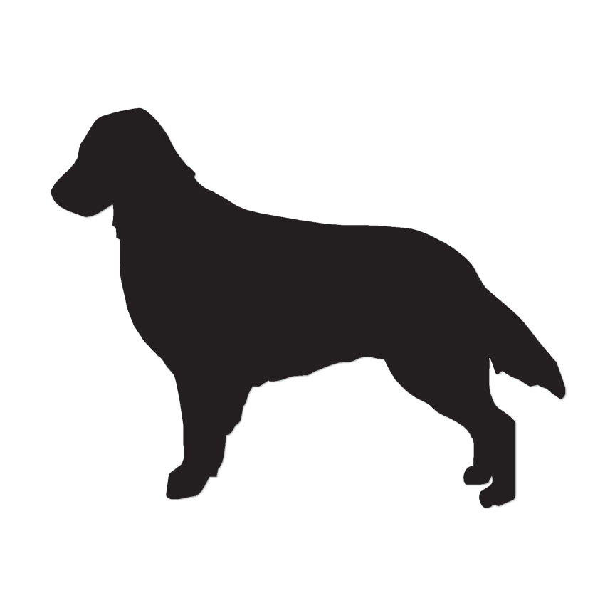 Flat Coated Retriever Dog – Vinyl Decal – Multiple Color & Sizes – ebn1953